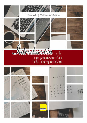 Introducción a la organización de empresas