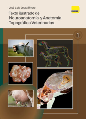 Neuroanatomía Veterinaria y Anatomía Topográfica Veterinaria