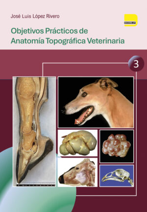 Objetivos prácticos de Anatomía Topográfica Veterinaria